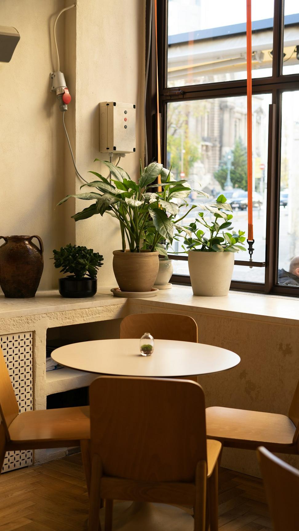 Sustainable commercial interior